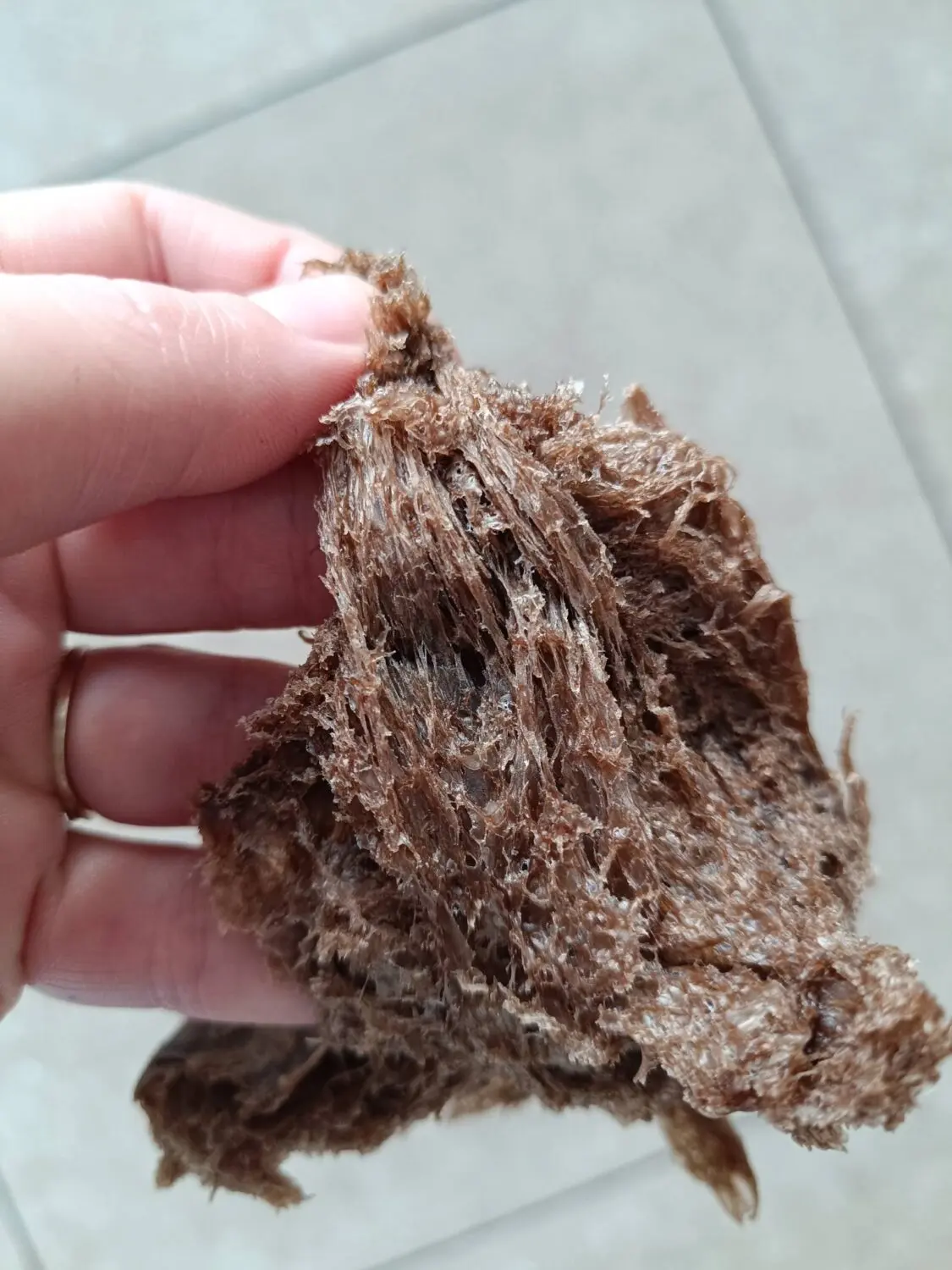 615050176 122159832530907845 4378488172284213834 n