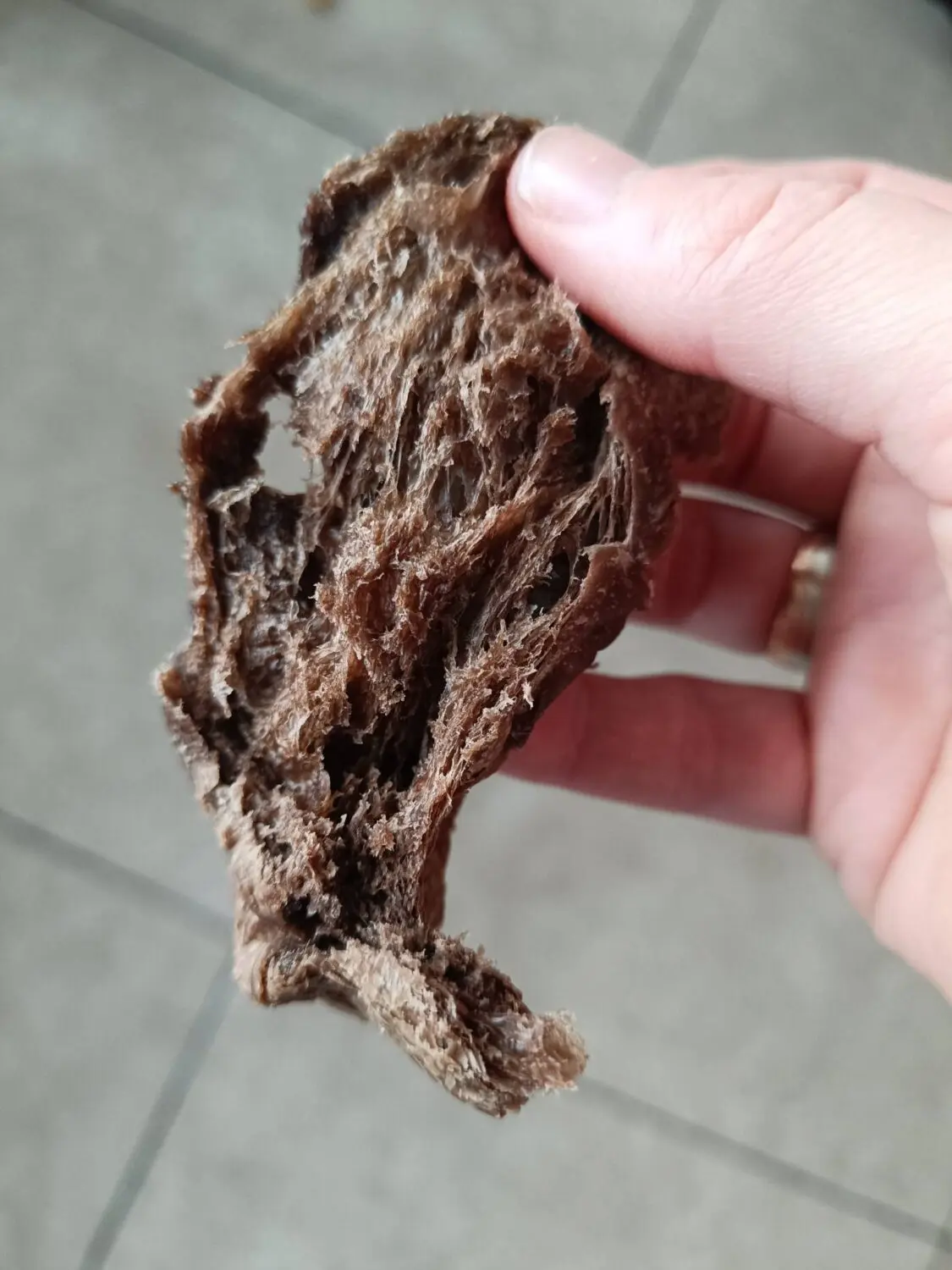 615894945 122159832422907845 5113865467679614019 n