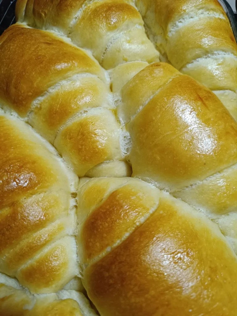 612510478 122159134406907845 4205004181494657926 n