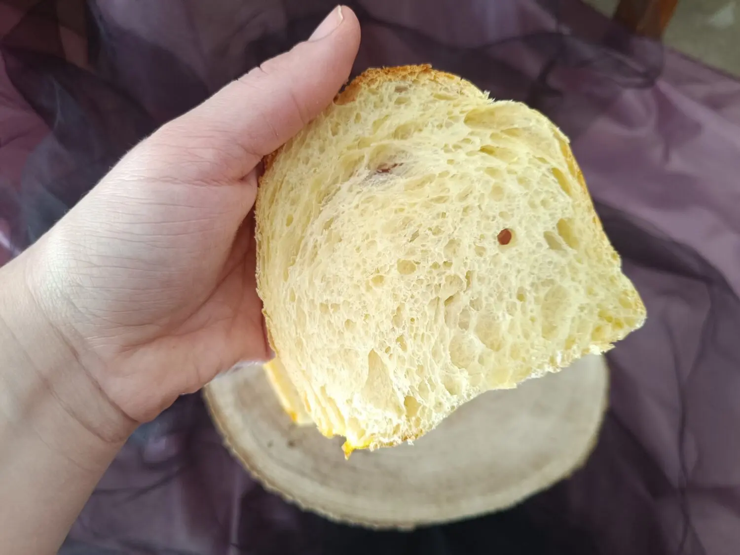 Sós brioche alaprecept 493309288 122128225820767741 9259576821438338 n